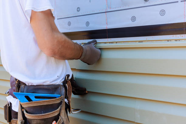 Affordable Siding Repair solutions in Anoka, MN