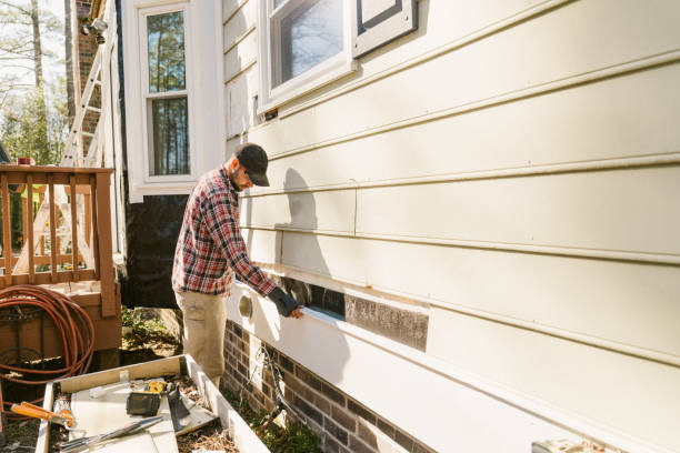 Top rated local Siding Repair specialists in Anoka, MN